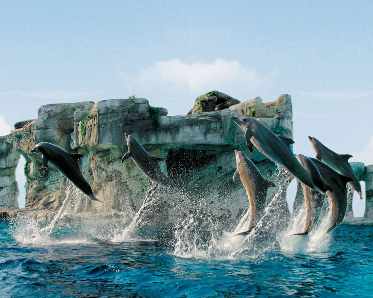 media.Slide_Parchi_2HotelGaby_Rimini