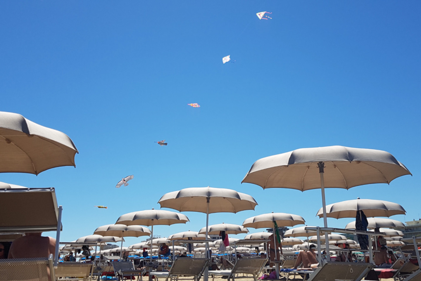 media.Slide_Spiaggia_3HotelGaby_Rimini